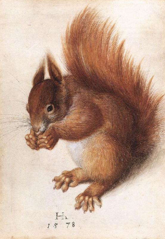 HOFFMANN, Hans Squirrel wf